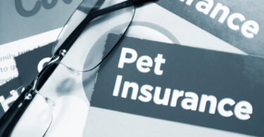 Pet Insurance Coverage